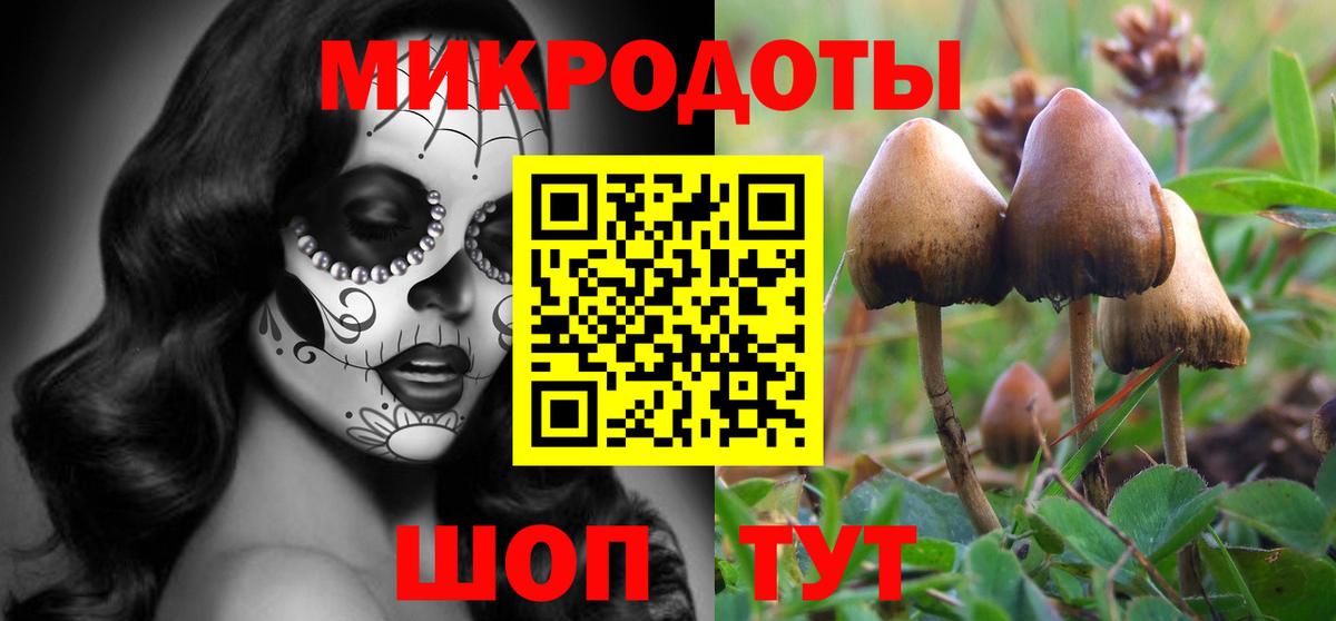 Галлюциногенные грибы Psilocybine cubensis  Вход с VPN  Бугуруслан  Галлюциногенные грибы Cubensis 