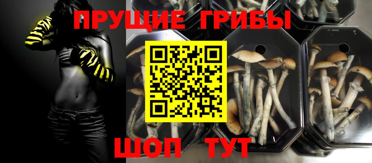 APVP Бугуруслан